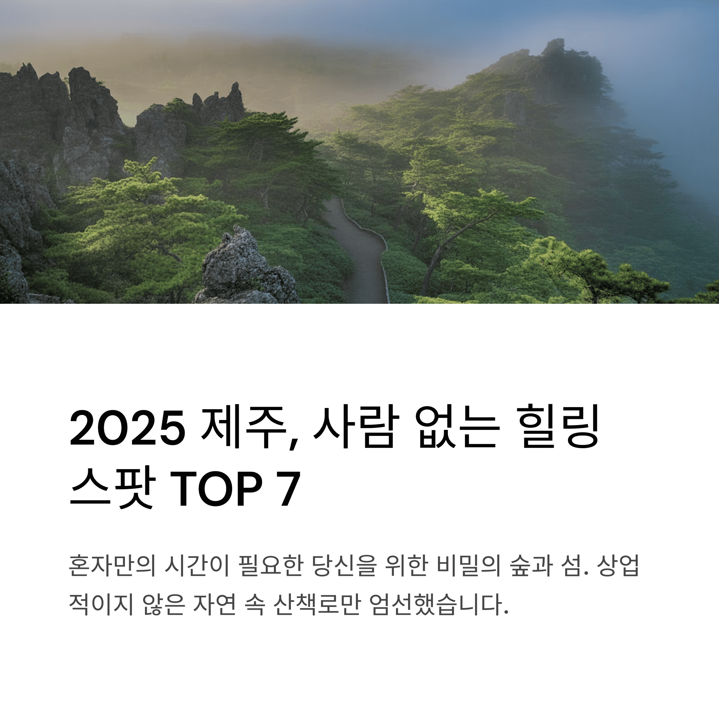 제주숨은명소, 구름이 낀 곶자왈산책길 전경