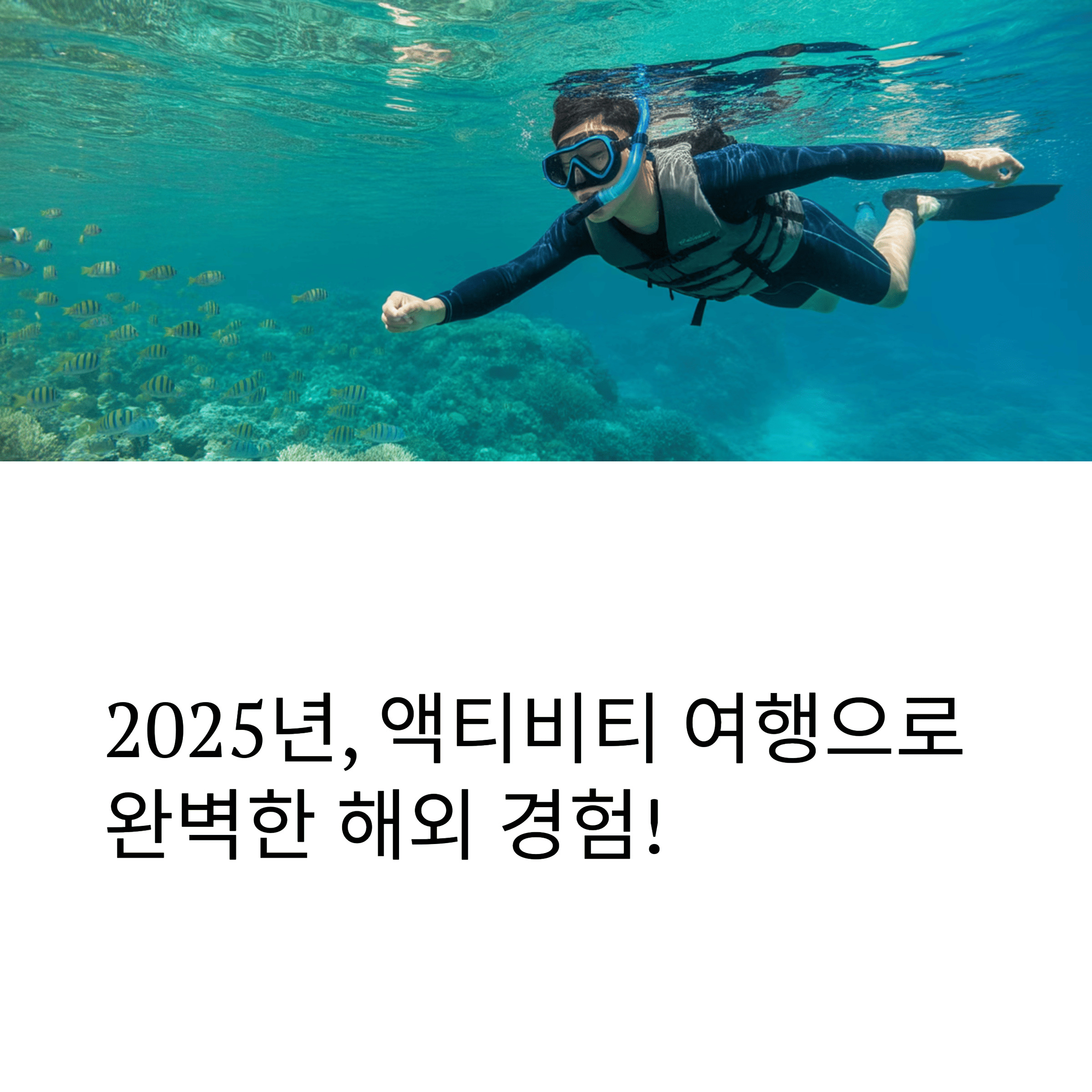 액티비티여행, 스노클링을 즐기는 사람