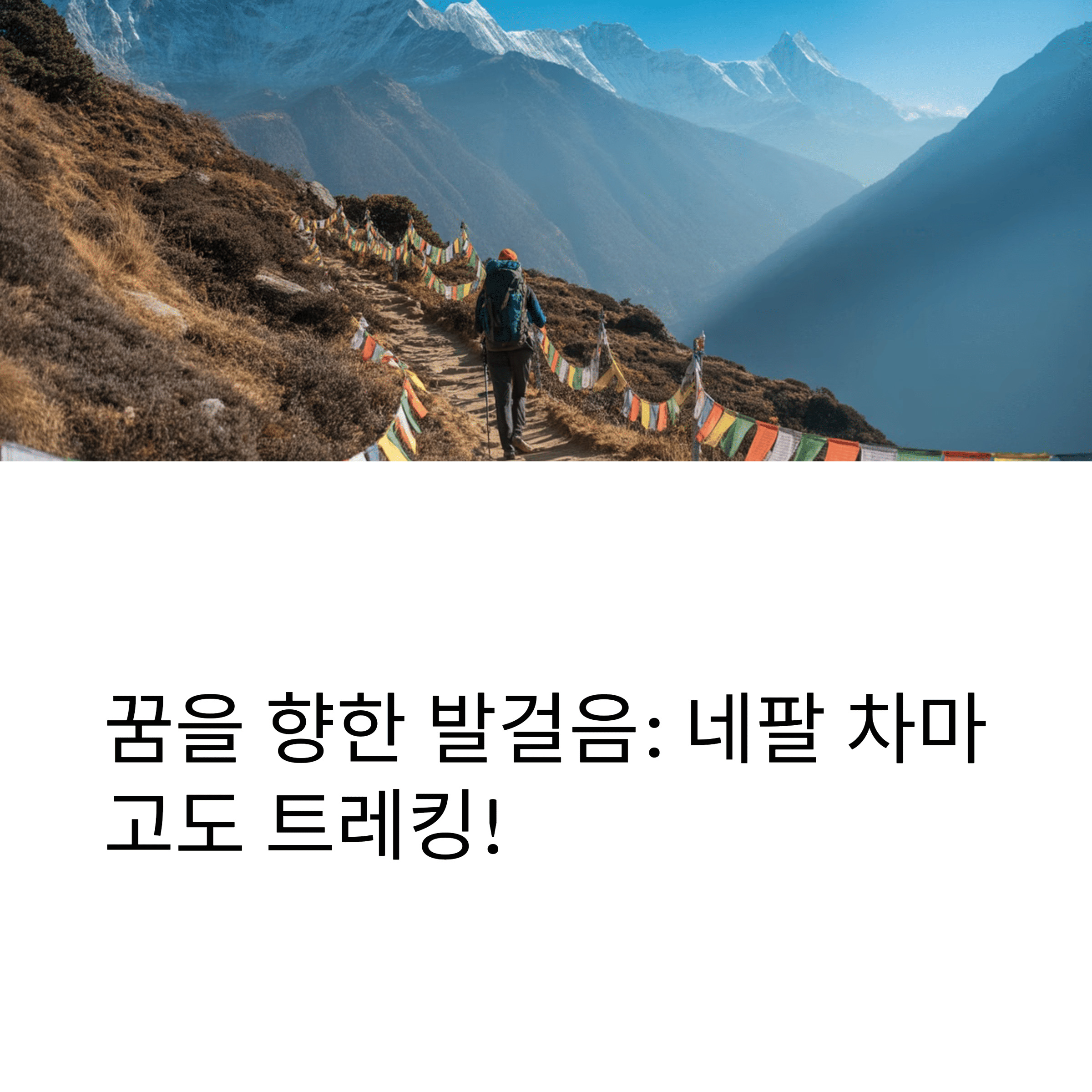 차마고도경비, 트레킹을 하고 있는 관광객 뒷모습
